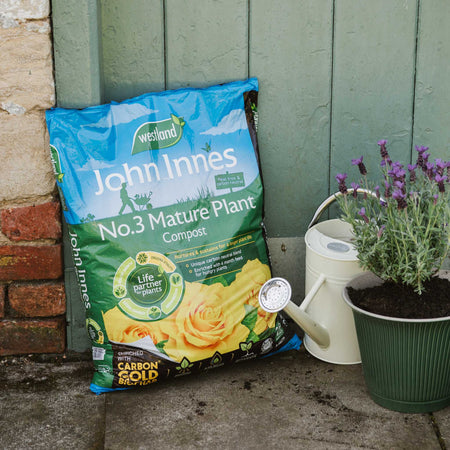 Westland John Innes Peat Free No.3 Mature Plant Compost