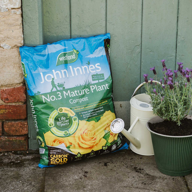 Westland John Innes Peat Free No.3 Mature Plant Compost