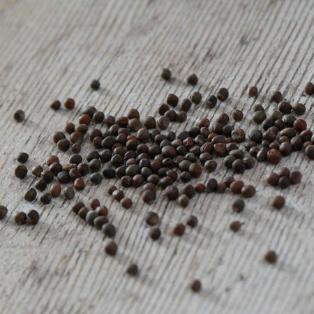 Kale Seeds 'Black Magic' F1