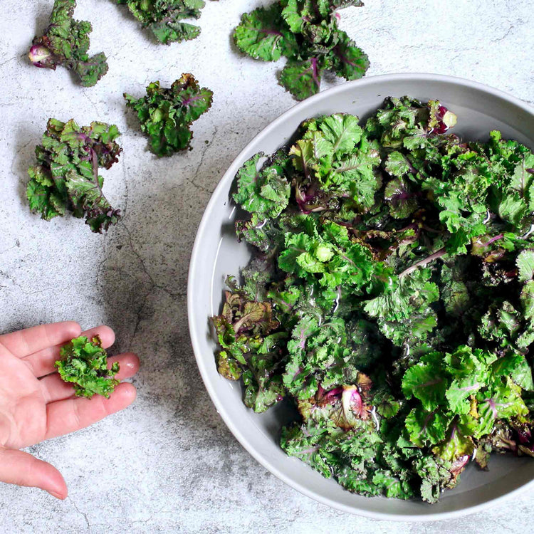 Kalettes Plants