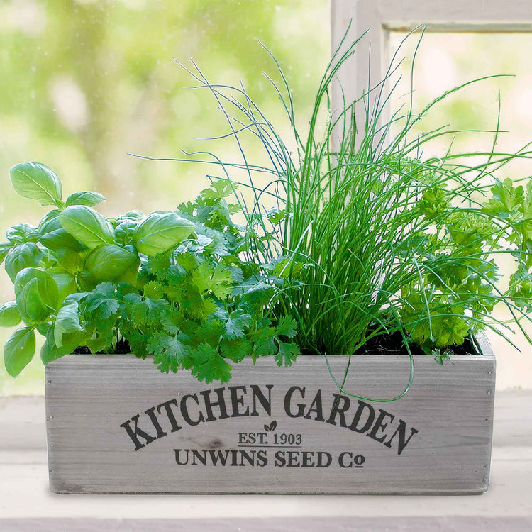Unwins Kitchen Garden Herb Kit