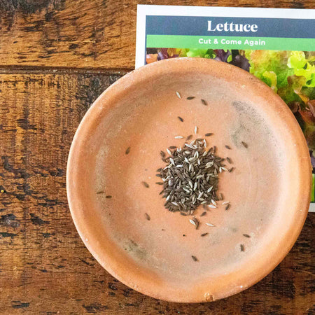 Lettuce Seeds 'Cut and Come Again'