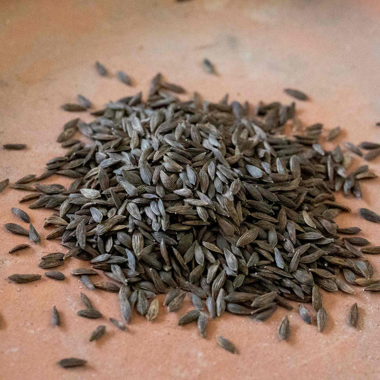 Salad Leaves Seeds 'Salad Bowl'