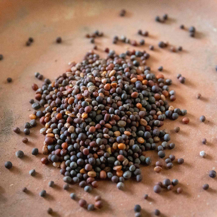 Salad Leaves Seeds 'Provencale Mix'