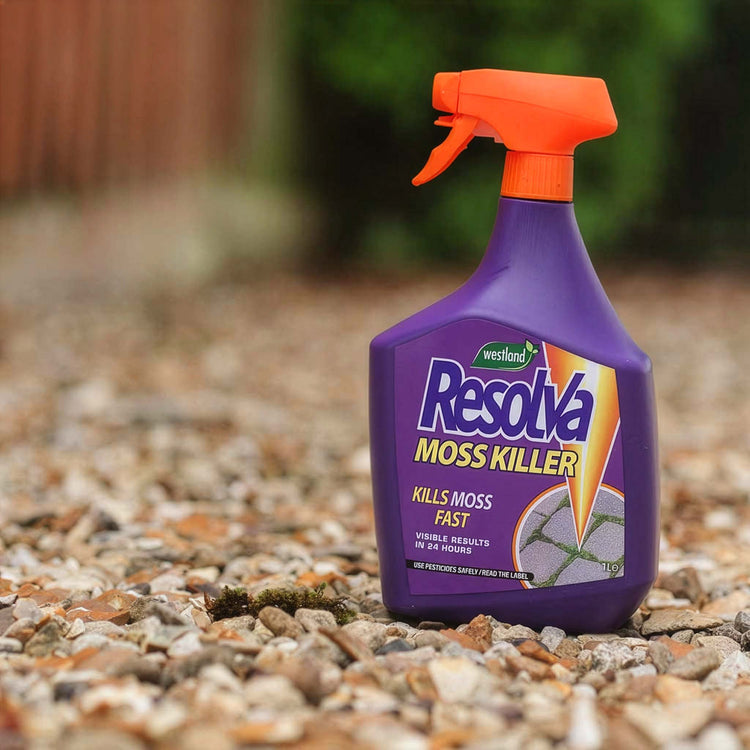 Resolva Moss Killer Spray