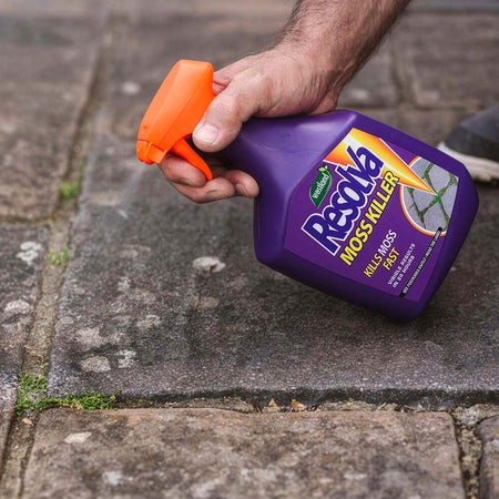 Resolva Moss Killer Spray