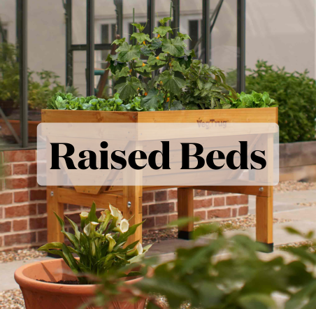 Raised Beds