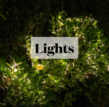 Christmas Lights