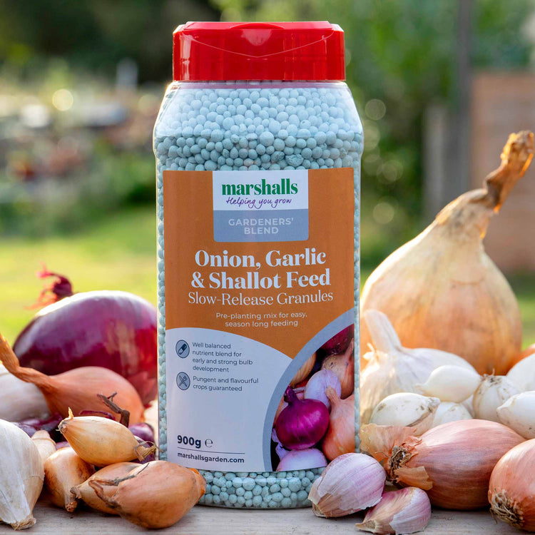 Marshalls Concentrated Slow Release Onion, Garlic & Shallot Feed Granules