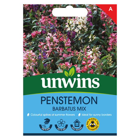 Penstemon Seeds 'Barbatus Mix '