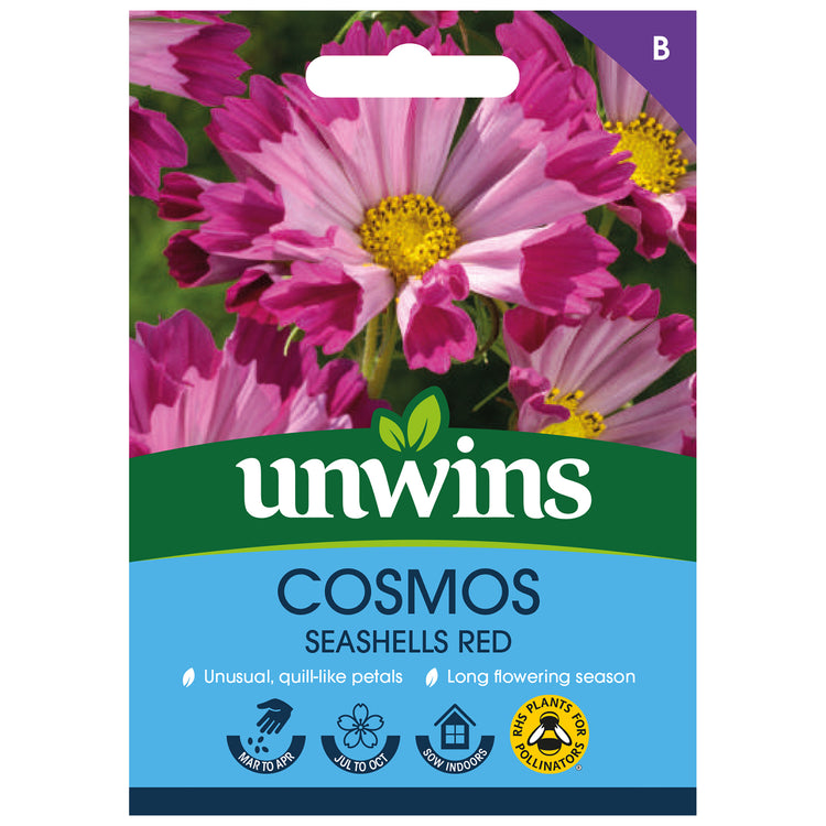 Cosmos Seeds 'Seashells Red'