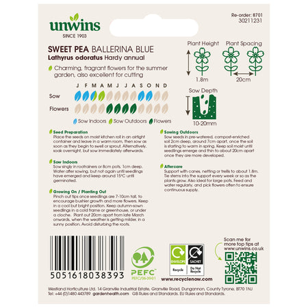 Sweet Pea Seeds 'Ballerina Blue'