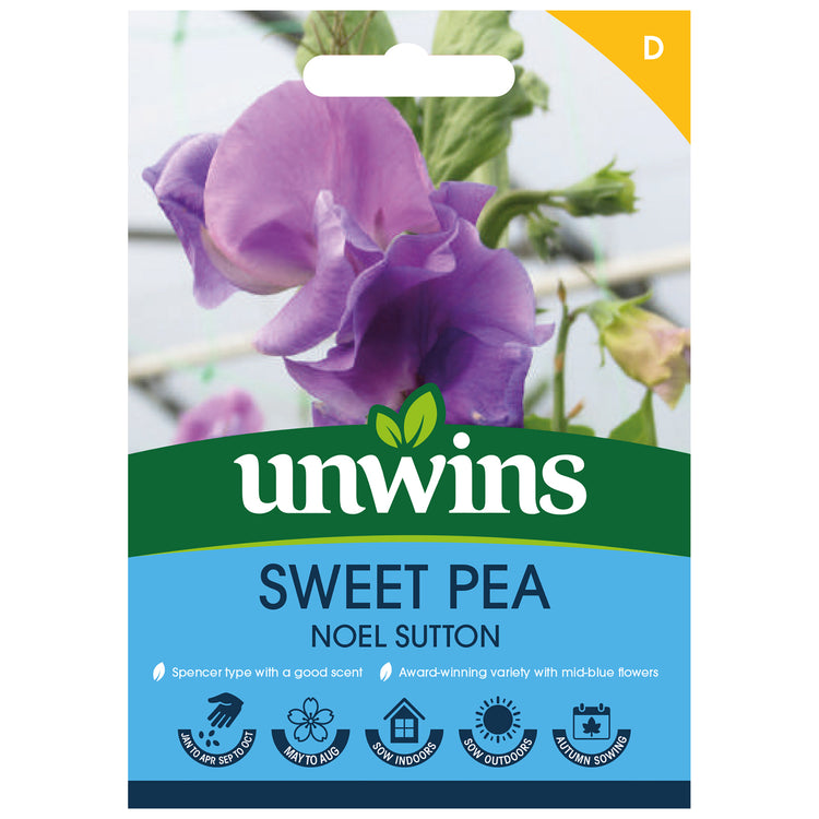 Sweet Pea Seeds 'Noel Sutton'