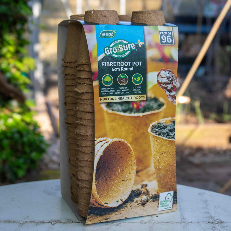 Houseplant Seed Growing Kit – 5 Varieties