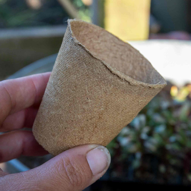 Gro-Sure Peat Free Pots