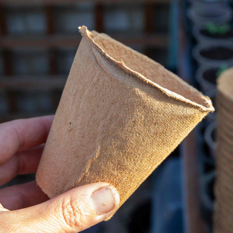 Gro-Sure Peat Free Pots