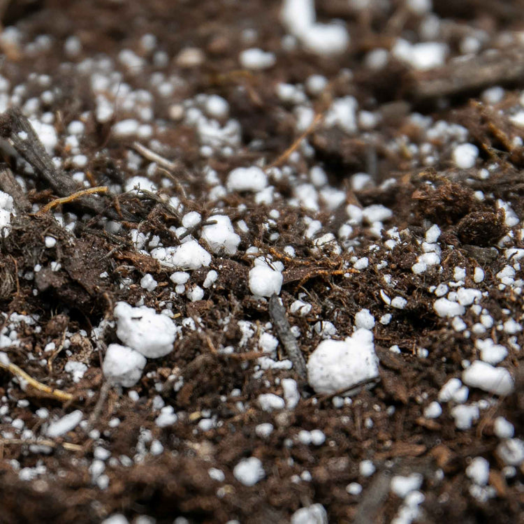 Gro-Sure Perlite