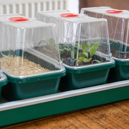 Super 7 Electric Windowsill Propagator