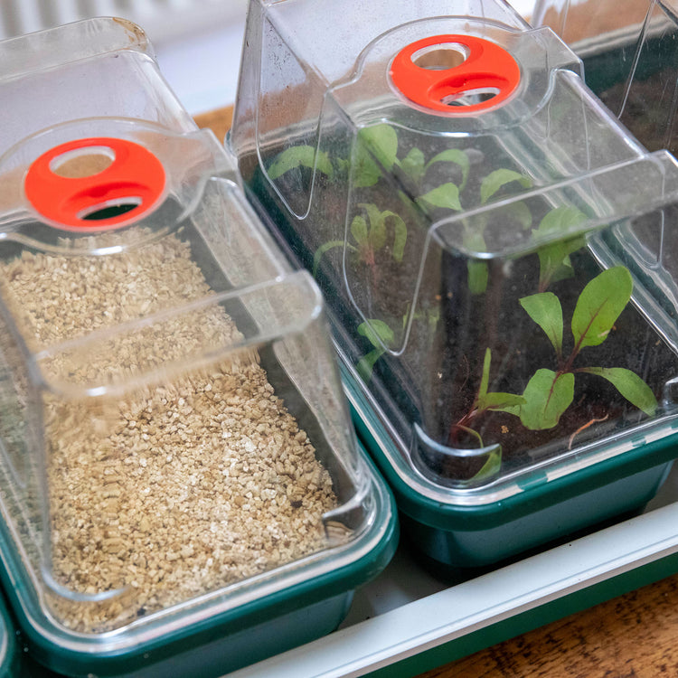Super 7 Electric Windowsill Propagator