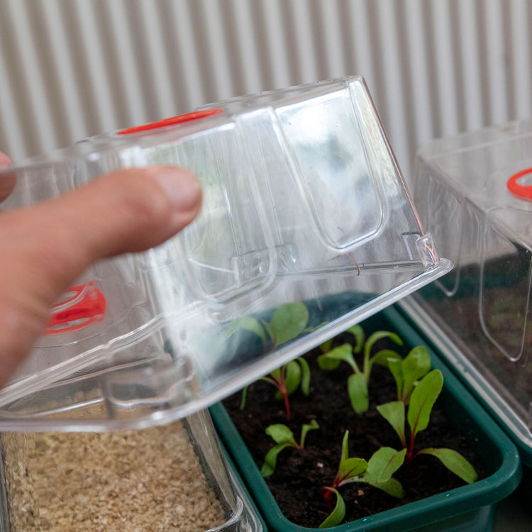 Super 7 Electric Windowsill Propagator