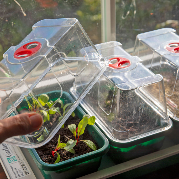 Super 7 Electric Windowsill Propagator