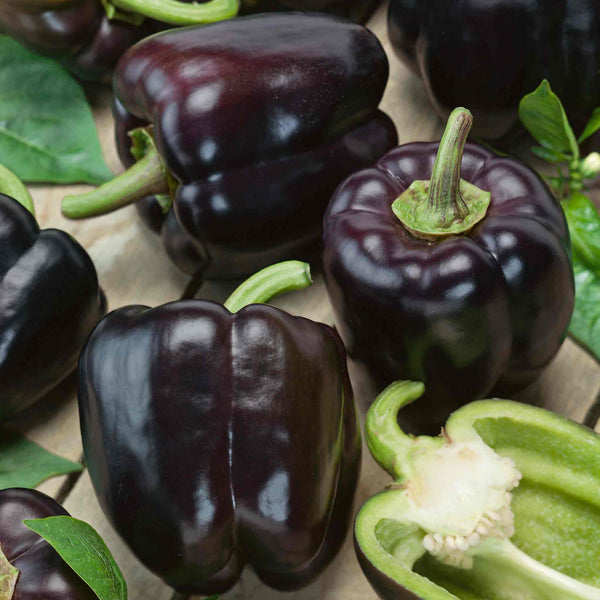 Pepper Seeds 'Sweet Cardinal' F1