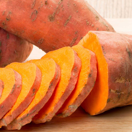 Sweet Potato 'Erato® Vineland Early Orange