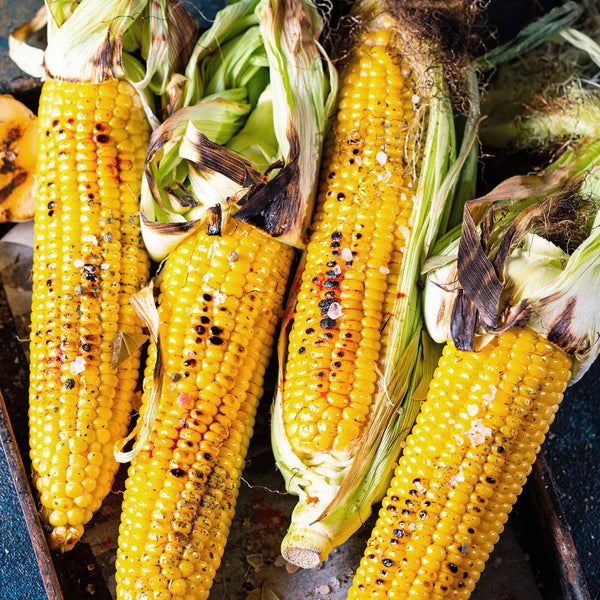 Sweetcorn 'Honeydew Improved'
