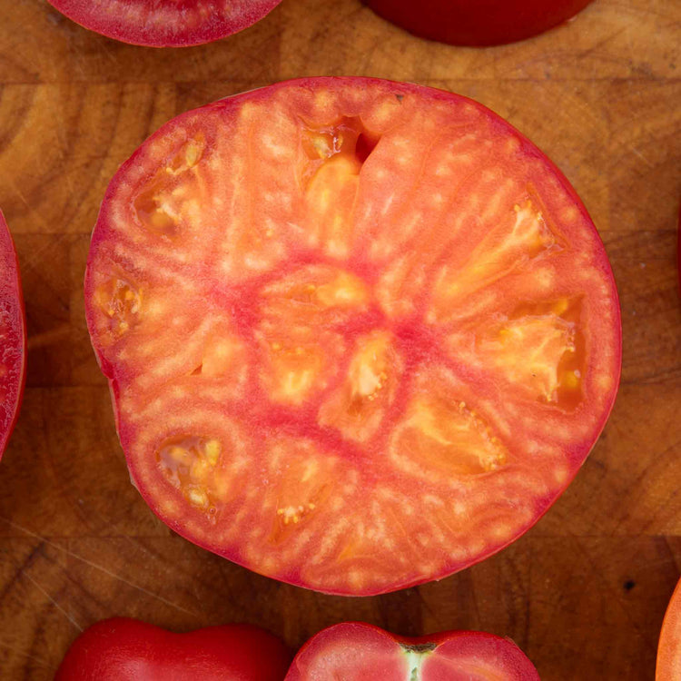 Cordon Tomato 'Buffalosun'