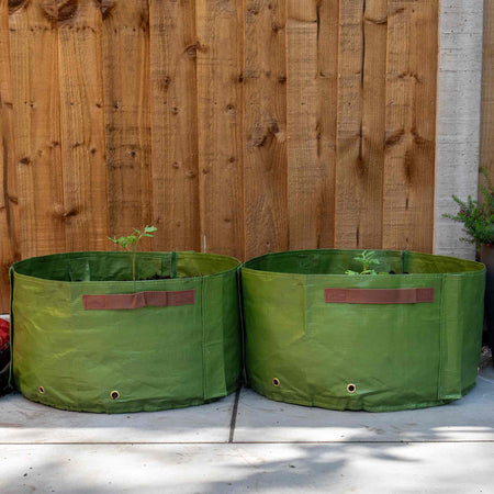 Haxnicks Tomato Patio Planters