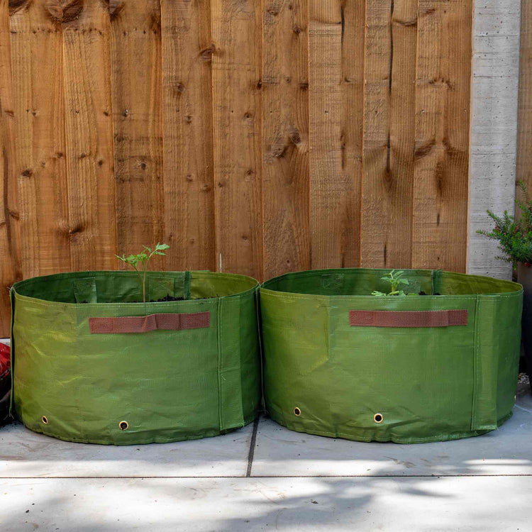 Haxnicks Tomato Patio Planters