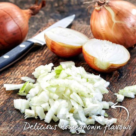 Autumn Planting White Onion Sets 'Growers Pick'