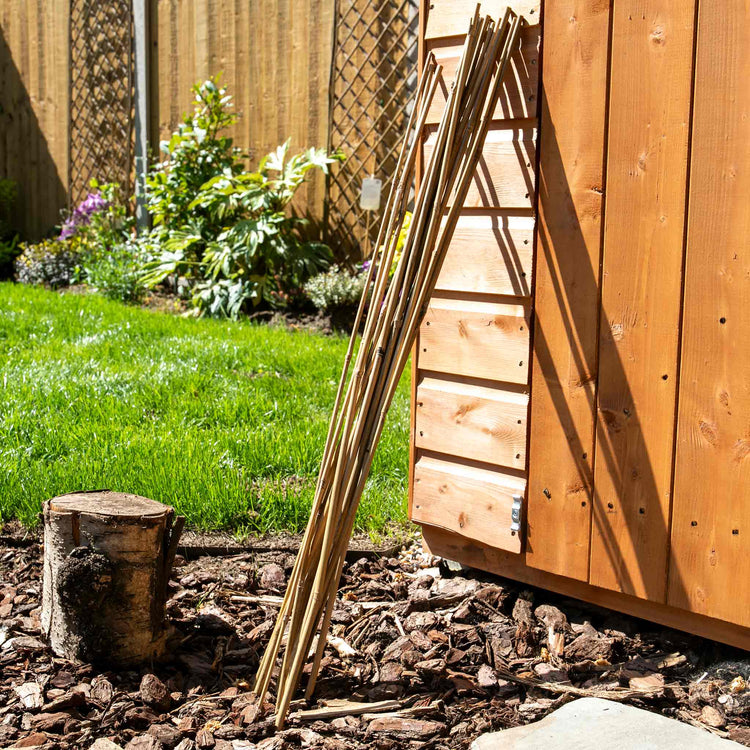 Bamboo Canes