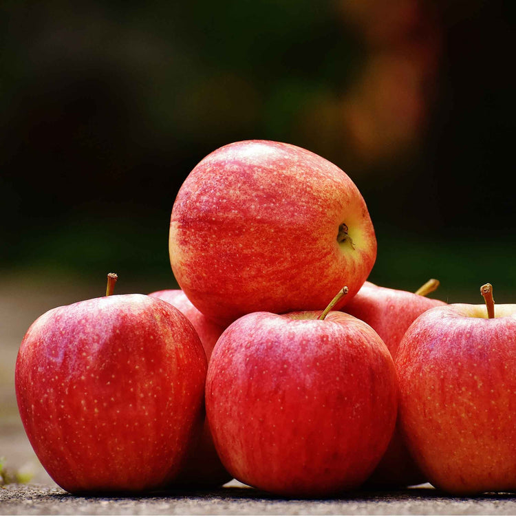 Apple 'Braeburn'