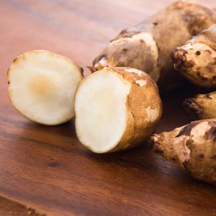 Jerusalem Artichoke Tuber 'Fuseau'