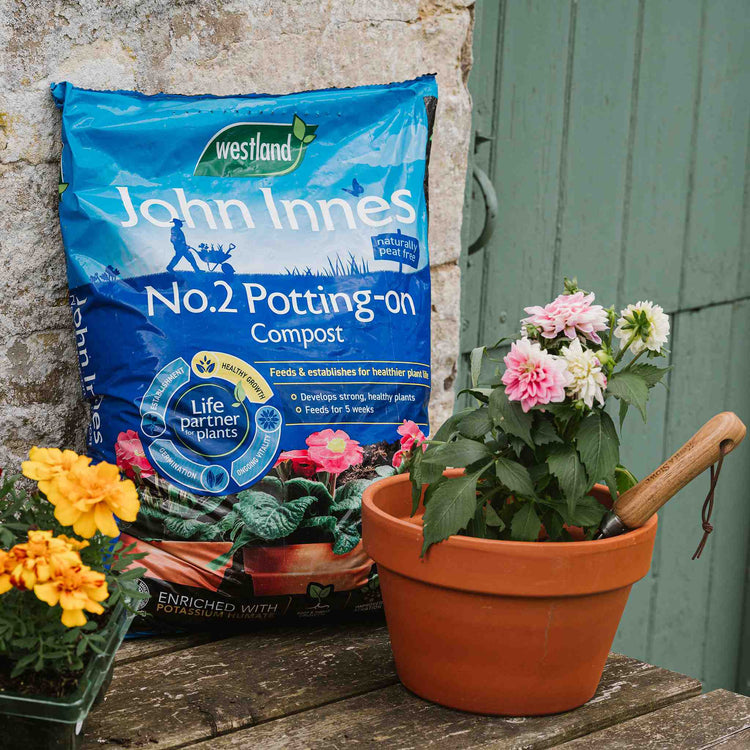 Westland John Innes Peat Free No.2 Potting On Compost 28L