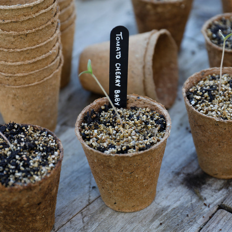 Gro-Sure Peat Free Pots