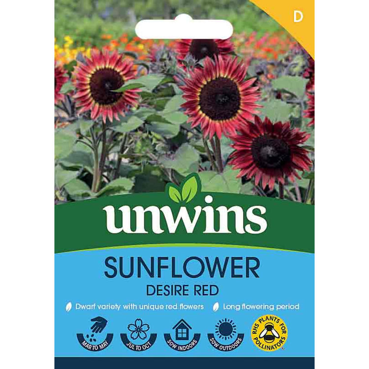 Sunflower Seeds 'Desire Red'