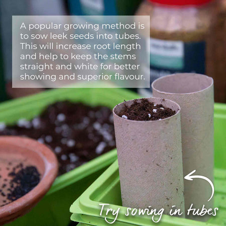 Leek Seeds 'Blauwegroene Winter Bandit'