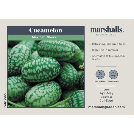 Cucamelon Seeds 'Mexican Gherkin'