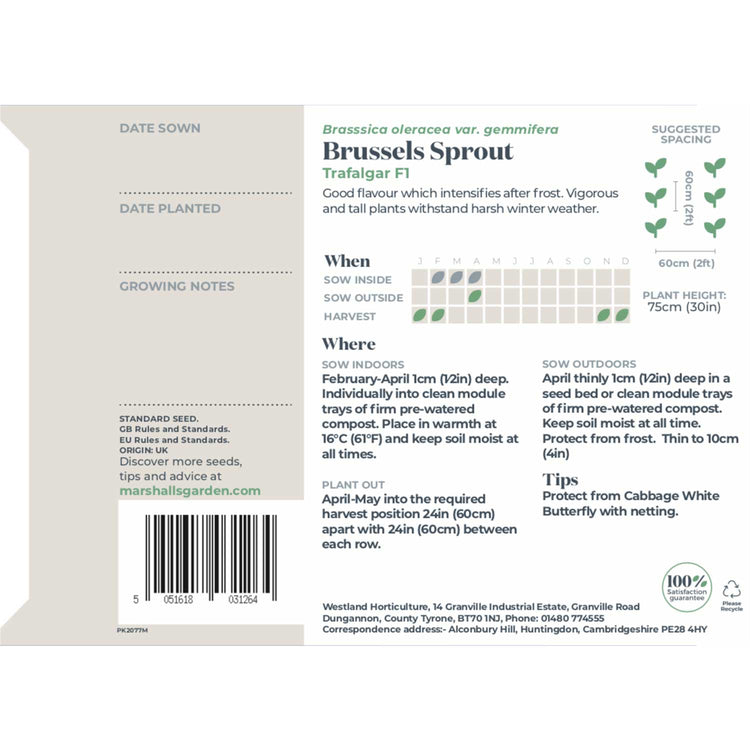 Brussels Sprout Seeds 'Trafalgar' F1
