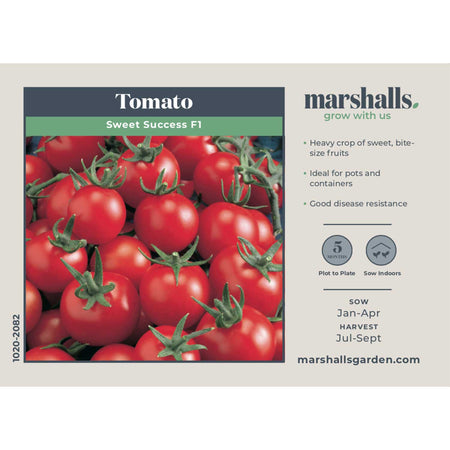 Tomato Seeds 'Sweet Success' F1