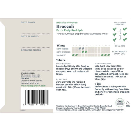 Broccoli Seeds 'Extra Early Rudolph'