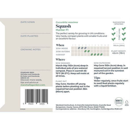 Squash Seeds 'Hunter' F1
