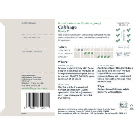 Cabbage Seeds 'Kilaxy' F1