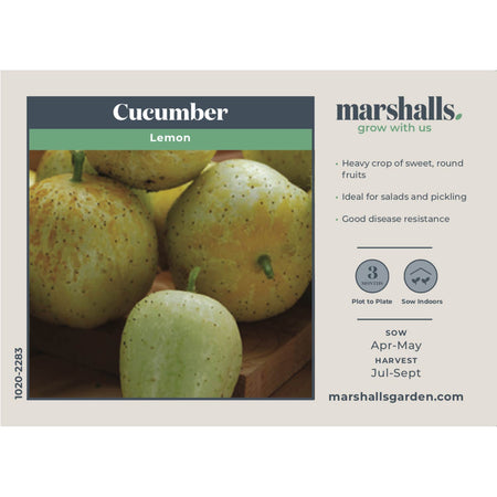 Cucumber Seeds 'Lemon'
