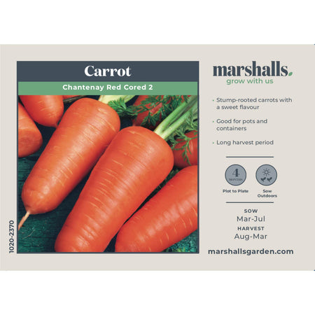Carrot Seeds 'Chantenay Red Cored 2'