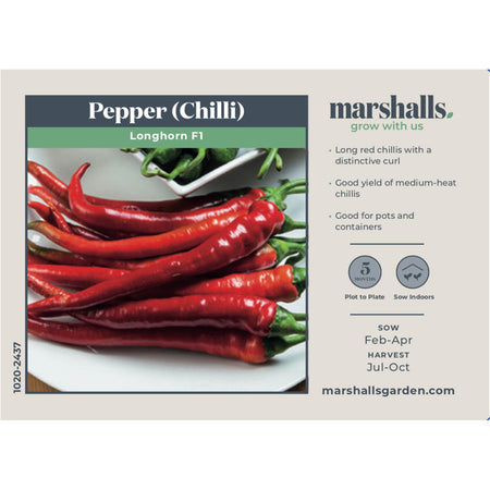 Chilli Pepper Seeds 'Longhorn' F1