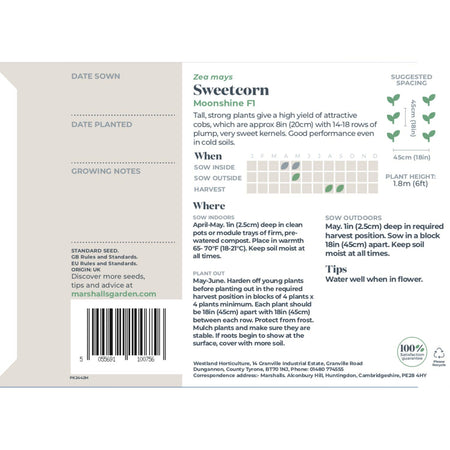 Sweetcorn Seeds 'Moonshine' F1