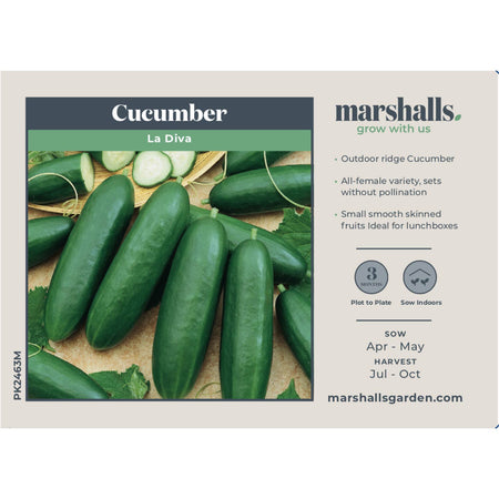 Cucumber Seeds 'La Diva'